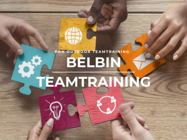 belbin teamtraining