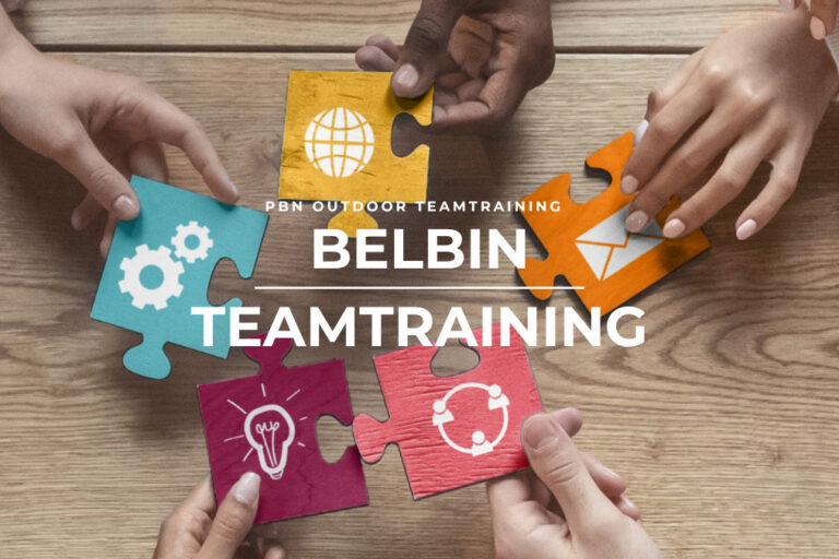 belbin teamtraining