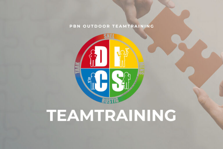 disc teamtraining