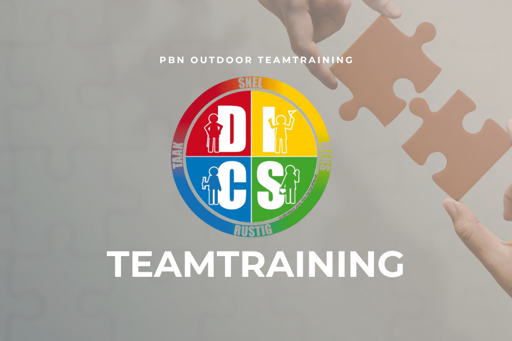 disc teamtraining